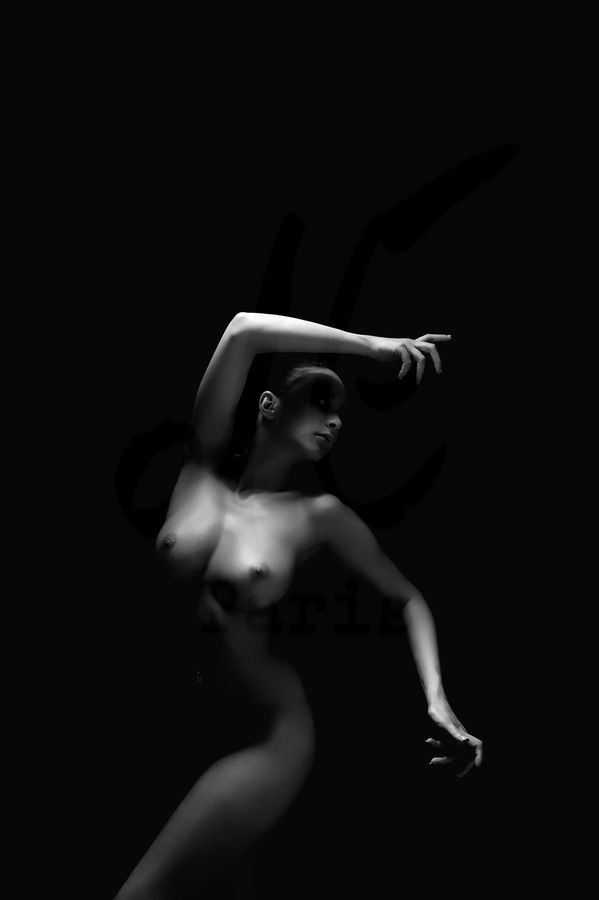 Portfolio Image